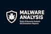 do professional malware analysis and detection of malicious files