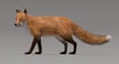 3d cgi animal animation character creatures xgen hair 3d dinosaur vfx lego model
