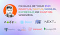 fix bugs of your php, react, nodejs, express website
