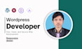 create best professional wordpress design and developments