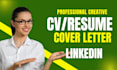 create your cvresume,pm cv cover letter and optimize linkedin
