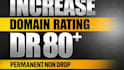 boost your website DR 80 plus with high authority white hat backlinks