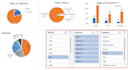 create professional excel pivot tables and charts