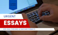 write reflective,persuasive, argumentative, and analytical papers