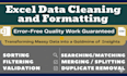 clean, organize, and automate excel or google sheets data entry tasks profession