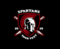 create high quality and beautiful spartan logo design