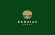 design professionals spiritual consultant logo