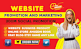 professional website business product book or link promotion