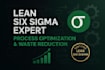 optimize your business processes with lean six sigma strategies