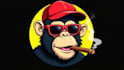 design outstanding monkey head logo in 12 hours