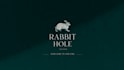create a high quality rabbit mascot logo design