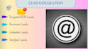 provide targeted b2b lead generation service