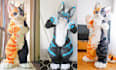 draw fursona reference sheet fursuit furry avatar nsfw furry art oc anime design