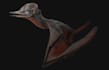 model germanodactylus, hemidactylus, creature design, bird creature,dinasaur rig