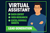 professional data entry, web research virtual assistant PDF to excel expert
