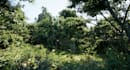 dreate 3d game environment open world map unity unreal engine level design asset