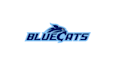 design beautiful youth baseball team logo