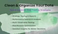 handle, clean, and organize your data professionally