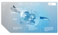 develop 3d webgl website interactive website 3d animated website r3f design