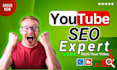 do best youtube video SEO expert for organic promotion