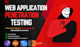 provide website security penetration testing security test