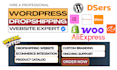 setup wordpress dropshipping alidropship dsers spocket modalyst syncee importify