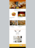 design an attractive and responsive email template