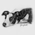 create a video sketch of your pet