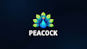 make an amazing peacock bird logo design with express delivery