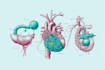 do professional medical illustrations