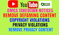 remove defaming, copyright and privacy content from youtube under dmca