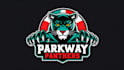 design awesome parkway panthers logo