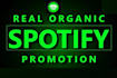 do organic, USA spotify music promotion