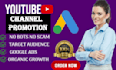 create viral youtube video promotion with google ads