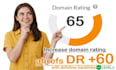 increase website domain rating DR 60 ahref