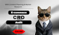 audit your online business to increase your revenue,conversion optimisation,cro