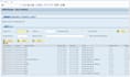 do sap abap development and solutions