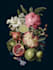 create amazing botanical illustration