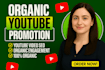 do complete youtube channel monetization promotion