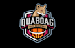 design wonderful basketball team logo