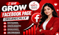 promote and grow your facebook page to get organic and active followers