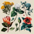 create amazing botanical illustration
