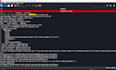 provide expert cybersecurity and penetration testing services