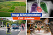 annotate images with bounding box, segmentation masks and polygon