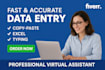 reliable virtual assistant for data entry and excel tasks