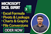 do excel data entry and dashboard expert