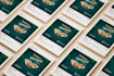 create professional graphic design,flyer, poster design