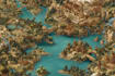 do fantasy map illustration with fantasy art