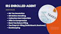 help you with irs tax problems as irs enrolled agent