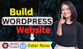 build professional website design and development service